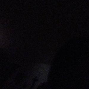 Satin leopard Midi dress